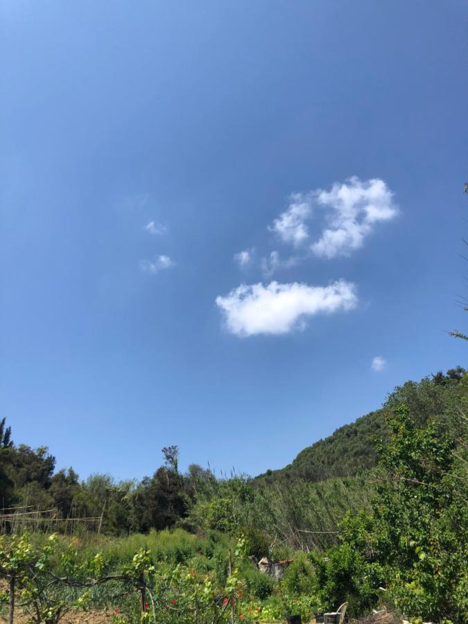 Vasiliki Appartamento